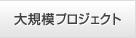 アメリカ大規模プロジェクト実績